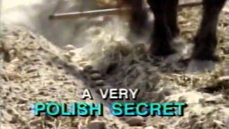 Episode 34 A Very Polish Secret