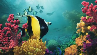 Episode 1 Beneath the Waves