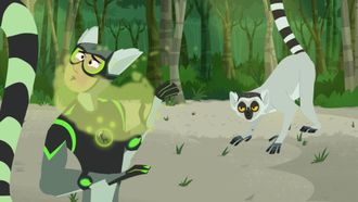Episode 20 Lemur Stink Fight