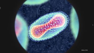 Episode 2 Smallpox