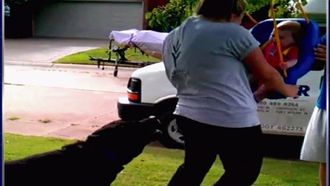 Episode 8 Grumpy Little Dogs and Practical Jokes That Backfired