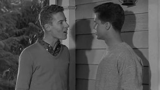 Episode 32 The Yard Birds