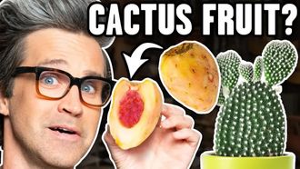 Episode 28 Exotic Fruits Taste Test
