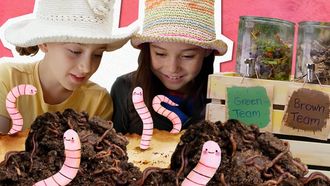 Episode 8 Super Worms