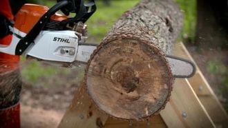 Episode 1 Chainsaws, Jukeboxes, and Fishing Reels