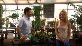 Episode 21 110 Percent Solution