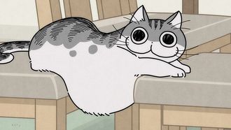 Episode 8 Can't shoot good videos of a cat
