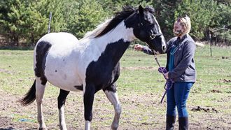 Episode 6 Neighs of Our Lives