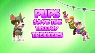 Episode 25 Cat Pack: Rubble and Wild and a Yarn Ball!/Cat Pack: Skye and Rory Flip It/Cat Pack: Marshall, Leo and a Ferris Wheel/Cat Pack: Everest, Shade and the Mountain Goats