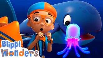 Episode 10 Ocean Sea Creatures!