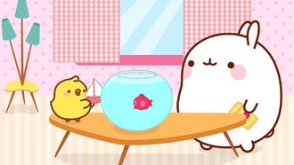 Episode 8 The Goldfish