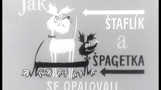 Episode 5 Jak se Staflík a Spagetka opalovali