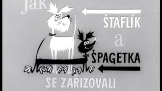 Episode 9 Jak se Staflík a Spagetka zarizovali
