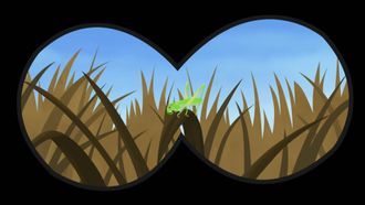 Episode 31 Masked Bandits