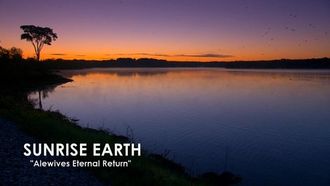 Episode 7 Alewife Eternal Return