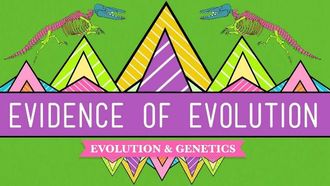 Episode 20 Evidence of Evolution