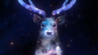 Episode 12 Zenith