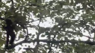 Episode 4 Africa's Rift Valley Lakes