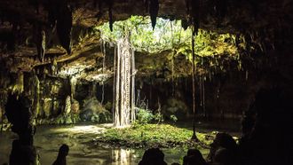Episode 2 Forests of the Maya