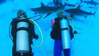 Episode 5 Swimming with Sharks