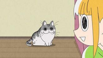 Episode 24 Night 24: The Cat Can't Help Sniffing the Forefinger