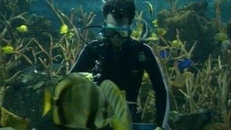 Episode 15 Fish