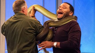 Episode 3 Bellamy Young; Steve Byrne; Snakes
