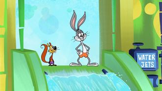 Episode 43 Splashwater Bugs