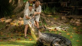 Episode 1 Bosco The Crocs Big Move
