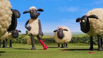 Episode 7 Hoof Fashion