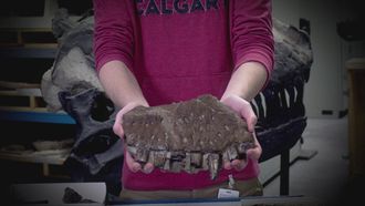 Episode 6 Killer Finds