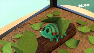 Episode 3 Caterpillar Catastrophe