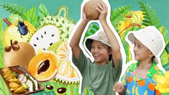Episode 13 Tropical Fruitopia