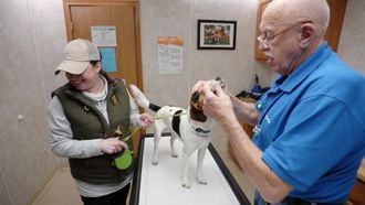 Episode 8 Pups and Downs