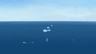 Episode 37 Stuck on Sharks
