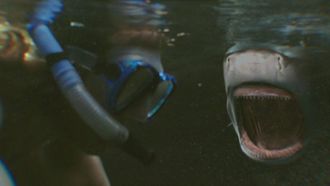 Episode 5 Blood In The Water