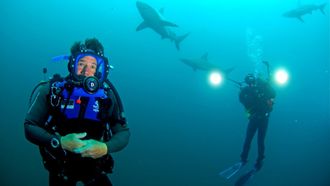Episode 8 South Africa