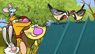 Episode 35 Woodpecker Picks a Place