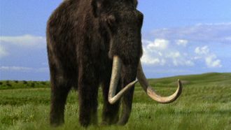 Episode 6 Mammoth Journey
