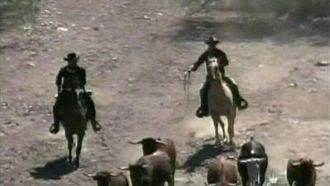 Episode 7 Shadows on the Land