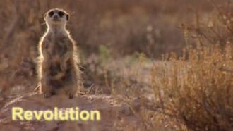 Episode 4 Revolution