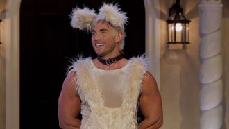 Episode 9 The Golden Bitchelor