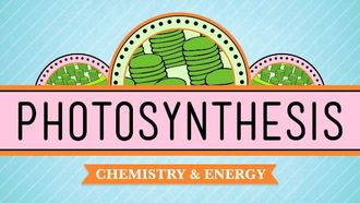 Episode 8 Photosynthesis