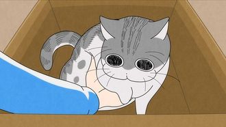 Episode 18 A cat that just won't move