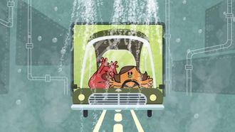 Episode 23 Carwash/Wildlife