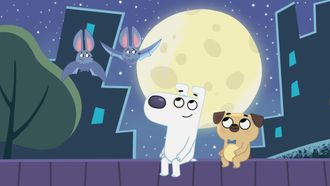 Episode 10 Dog Loves Night