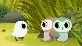 Episode 10 Find the Owls