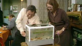 Episode 4 The Inspector's Pets