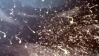 Episode 14 Life Before Birth