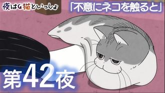 Episode 42 Night 42: If You Touch a Cat Unexpectedly